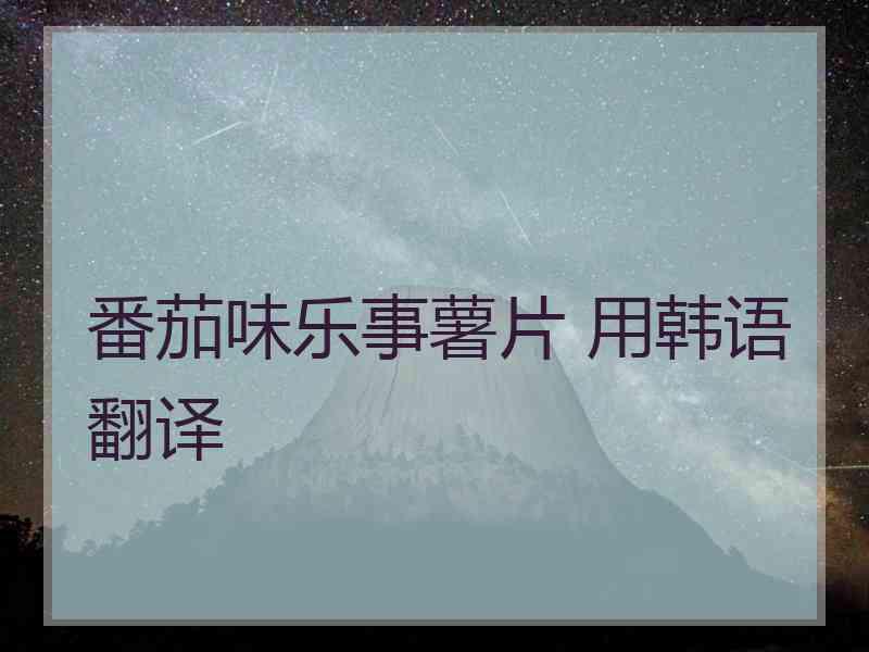 番茄味乐事薯片 用韩语翻译
