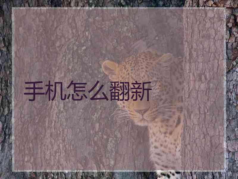 手机怎么翻新
