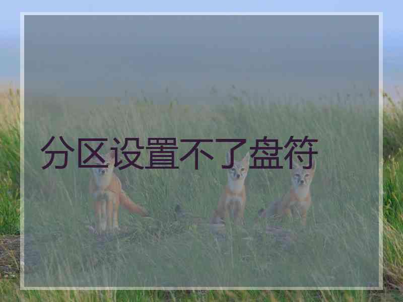 分区设置不了盘符