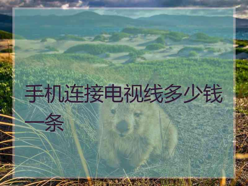 手机连接电视线多少钱一条