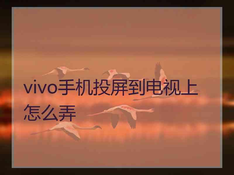 vivo手机投屏到电视上怎么弄
