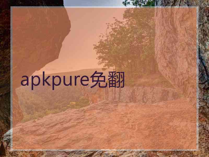 apkpure免翻