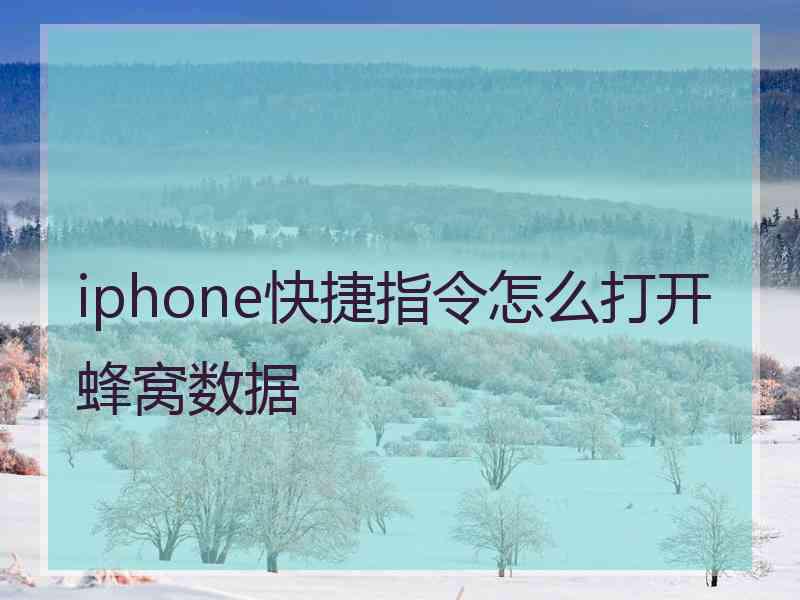iphone快捷指令怎么打开蜂窝数据
