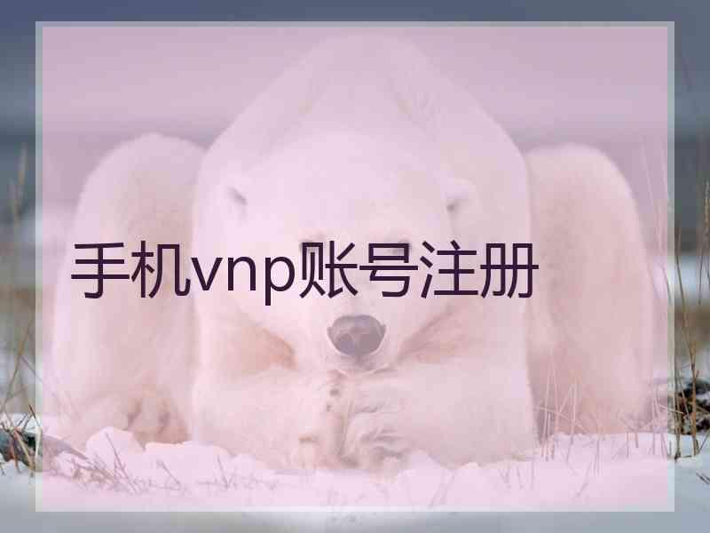 手机vnp账号注册
