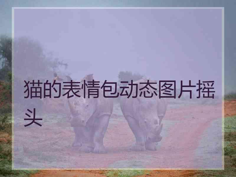 猫的表情包动态图片摇头