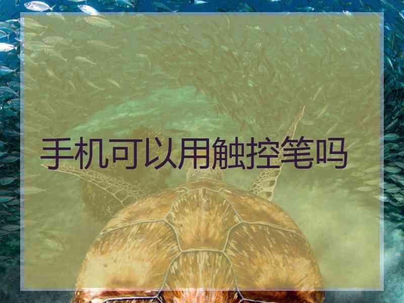 手机可以用触控笔吗