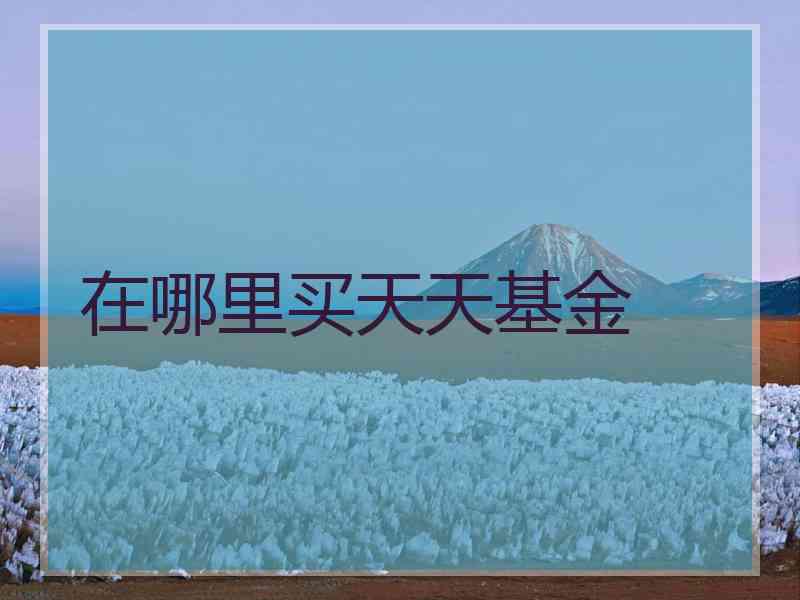 在哪里买天天基金