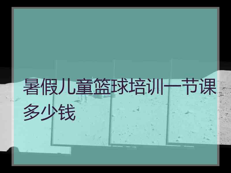 暑假儿童篮球培训一节课多少钱