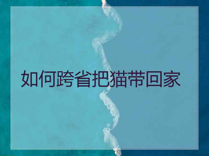 如何跨省把猫带回家