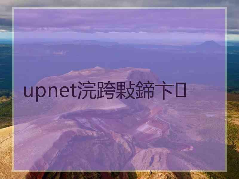 upnet浣跨敤鍗卞