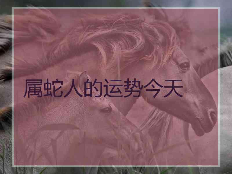 属蛇人的运势今天