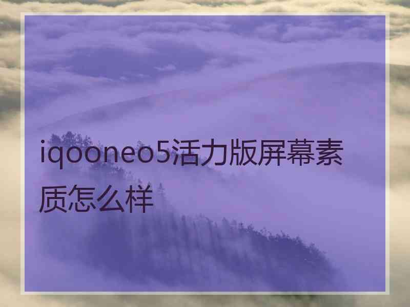 iqooneo5活力版屏幕素质怎么样