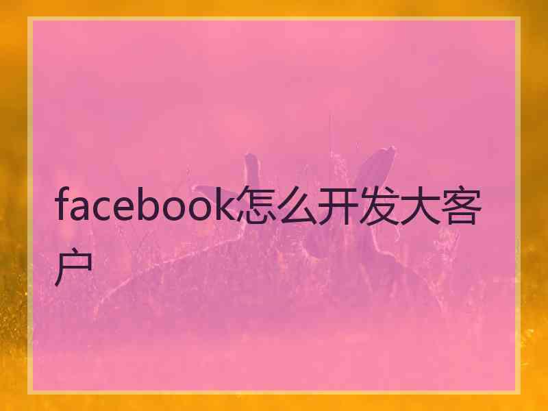 facebook怎么开发大客户