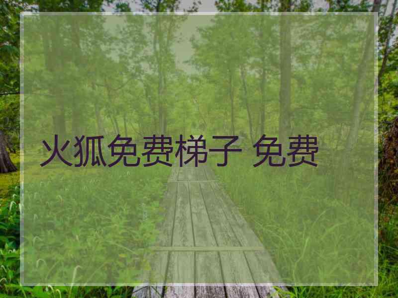 火狐免费梯子 免费