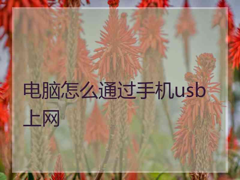 电脑怎么通过手机usb上网