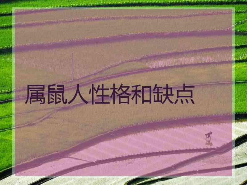 属鼠人性格和缺点