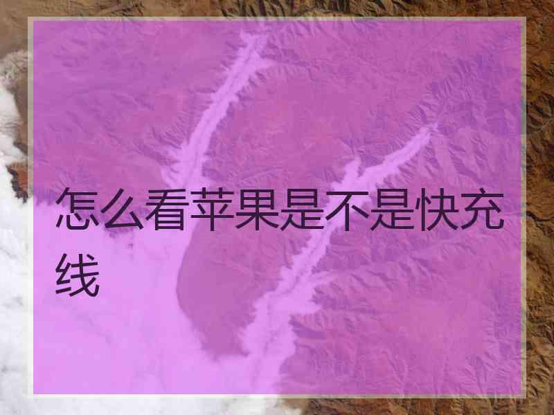 怎么看苹果是不是快充线