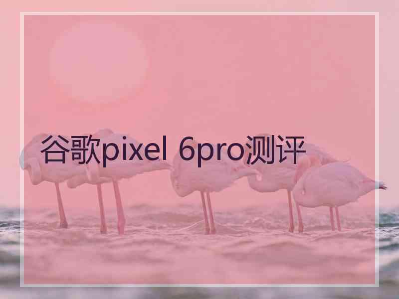 谷歌pixel 6pro测评