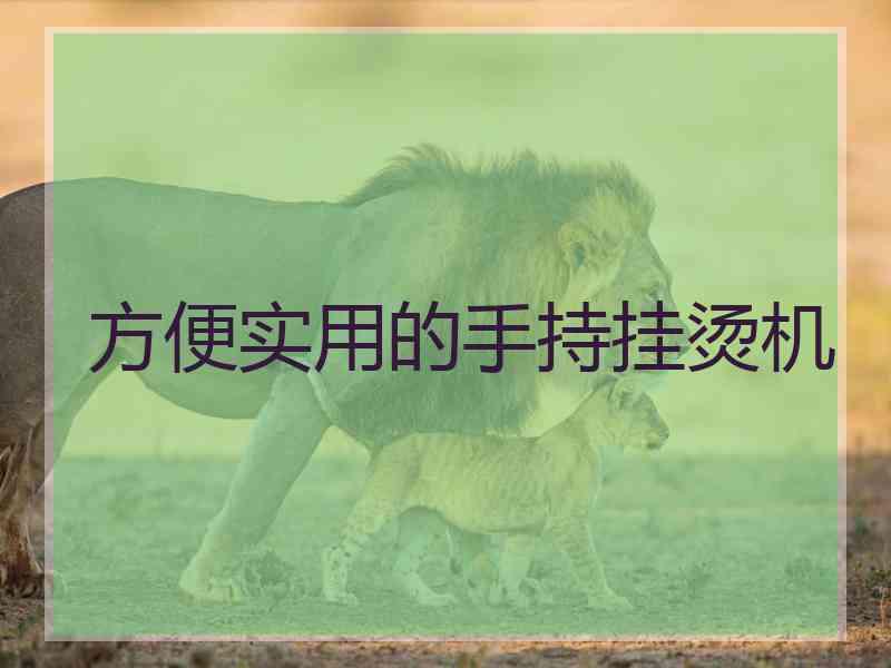 方便实用的手持挂烫机