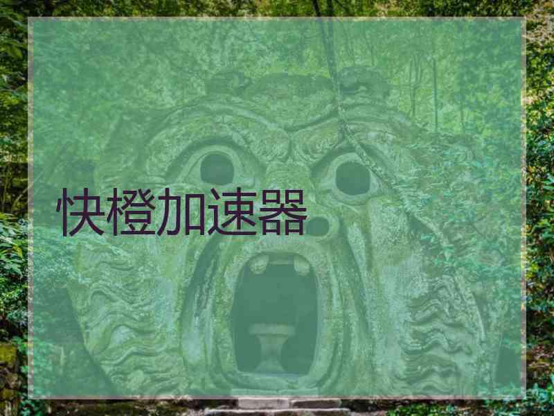 快橙加速器