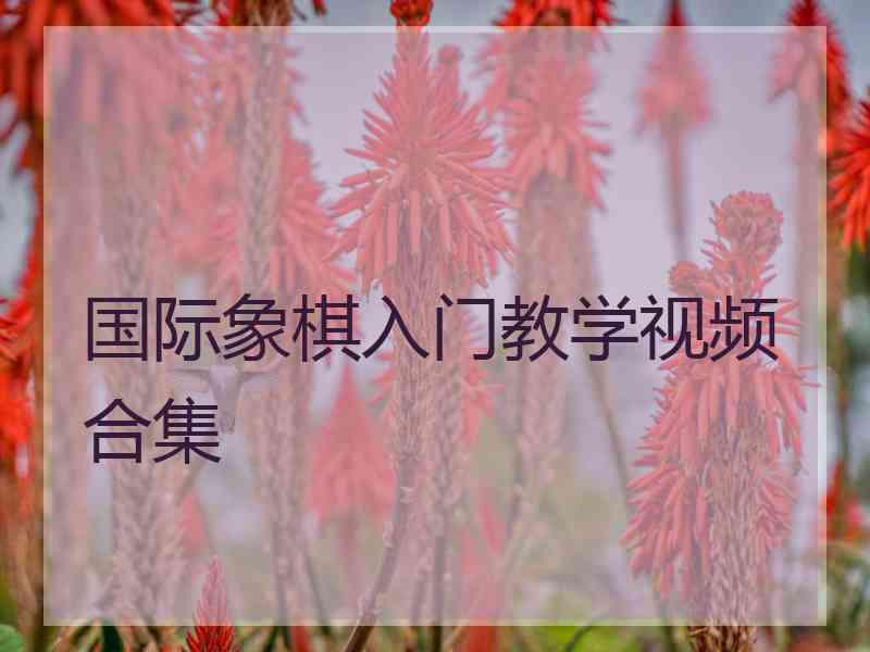 国际象棋入门教学视频合集