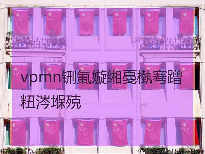 vpmn铏氭嫙缃戞槸骞蹭粈涔堢殑
