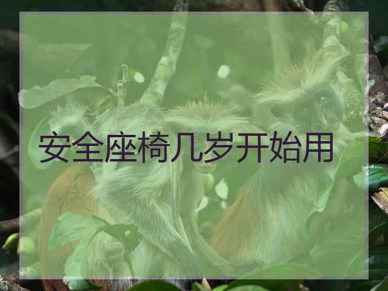 安全座椅几岁开始用