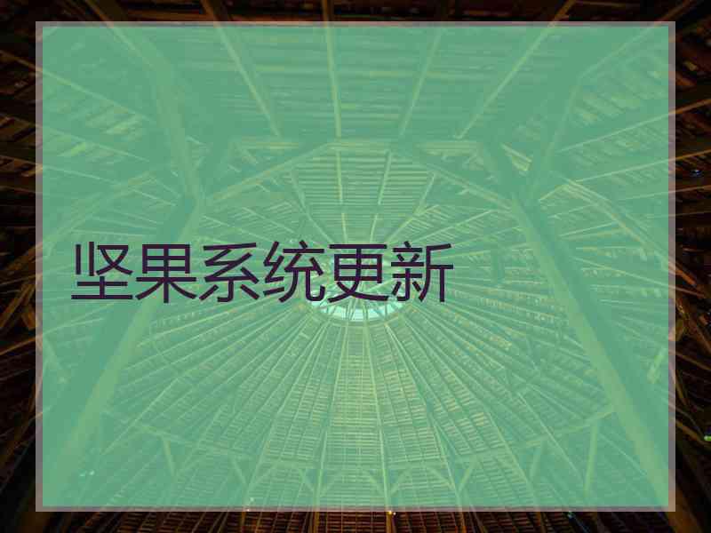坚果系统更新