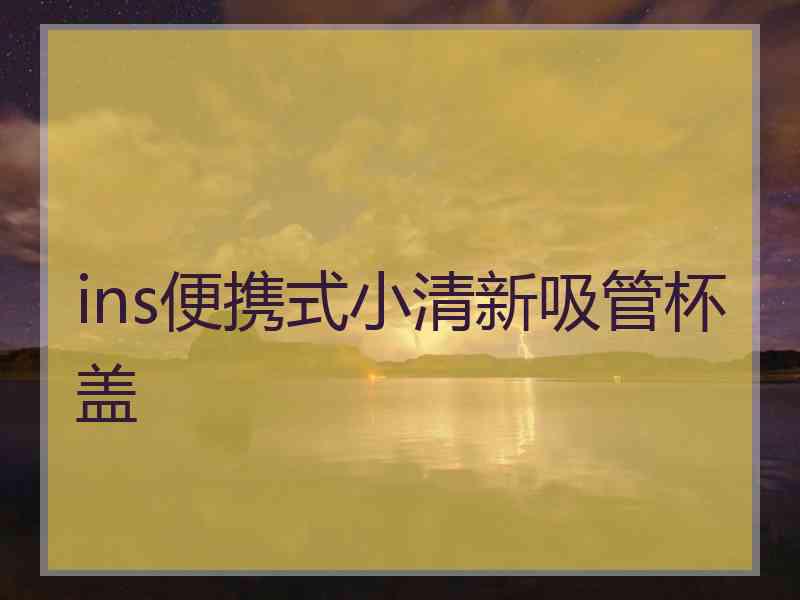ins便携式小清新吸管杯盖