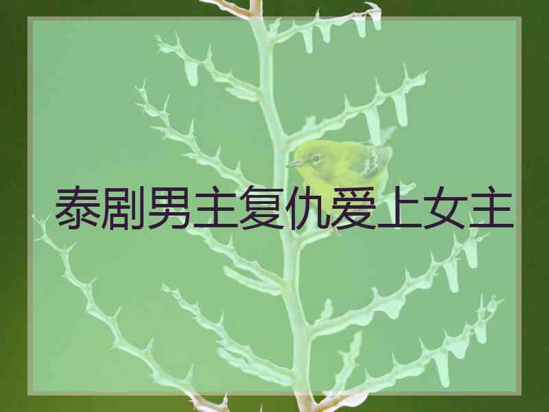 泰剧男主复仇爱上女主