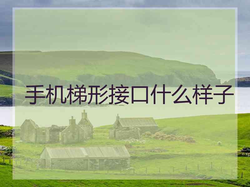 手机梯形接口什么样子