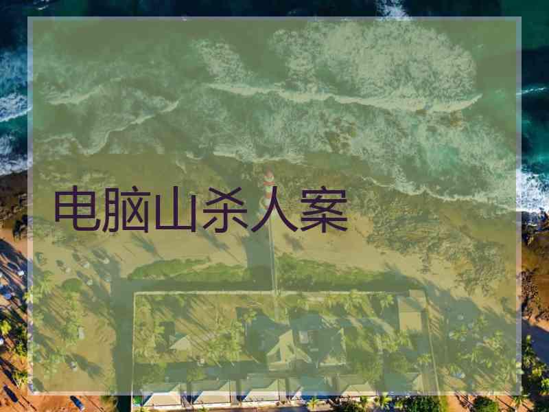 电脑山杀人案