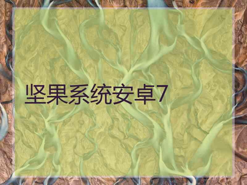 坚果系统安卓7