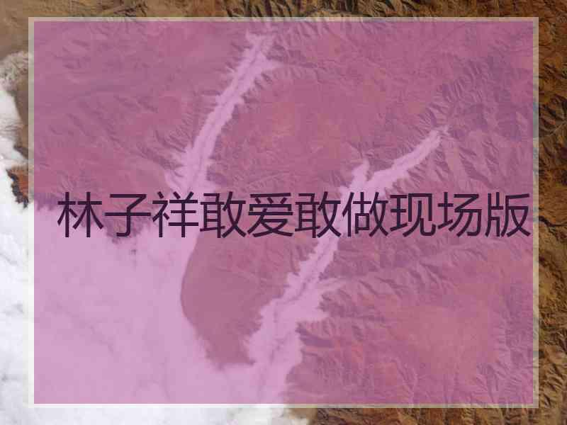 林子祥敢爱敢做现场版