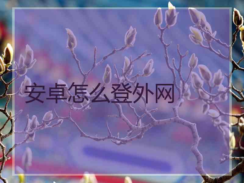 安卓怎么登外网