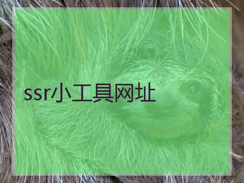 ssr小工具网址
