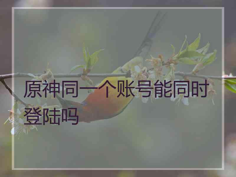 原神同一个账号能同时登陆吗