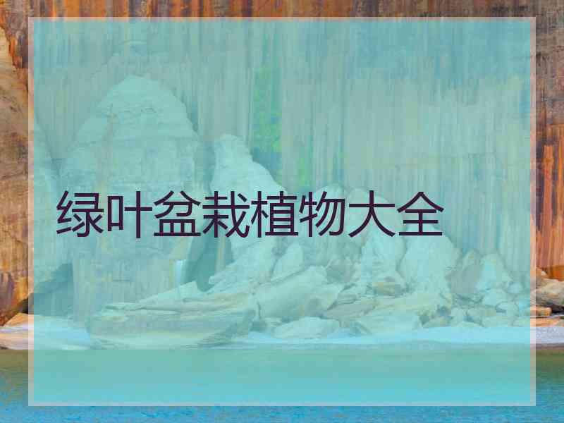 绿叶盆栽植物大全