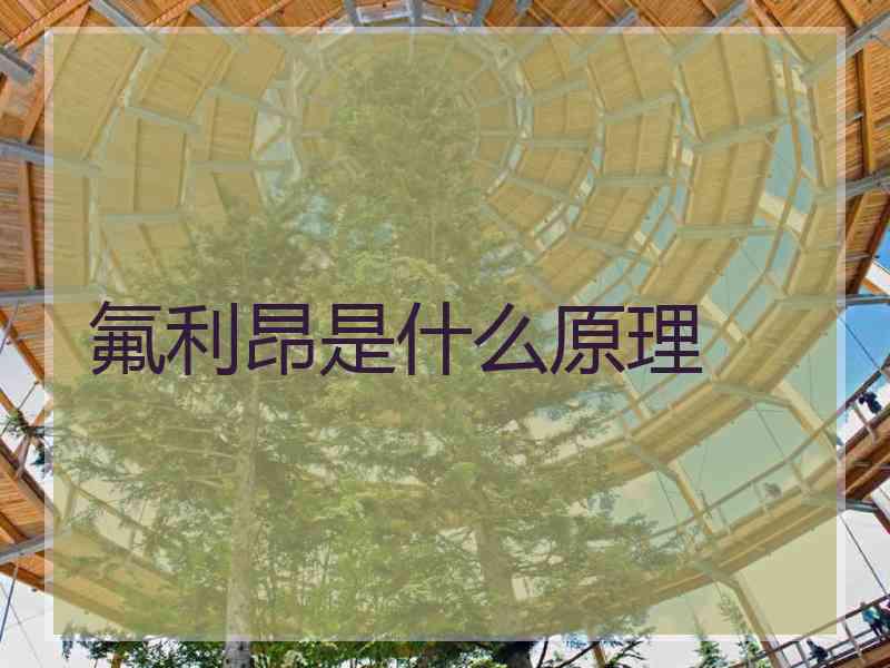 氟利昂是什么原理