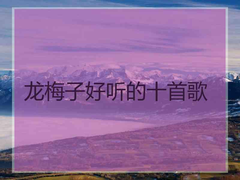 龙梅子好听的十首歌