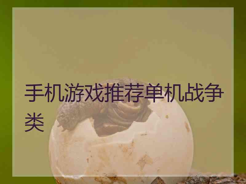 手机游戏推荐单机战争类