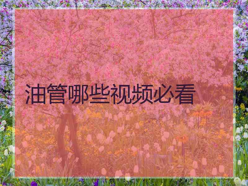 油管哪些视频必看