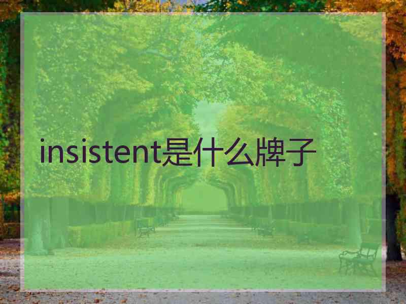 insistent是什么牌子