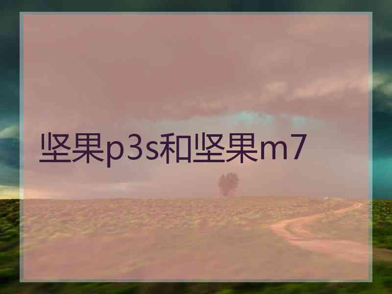 坚果p3s和坚果m7