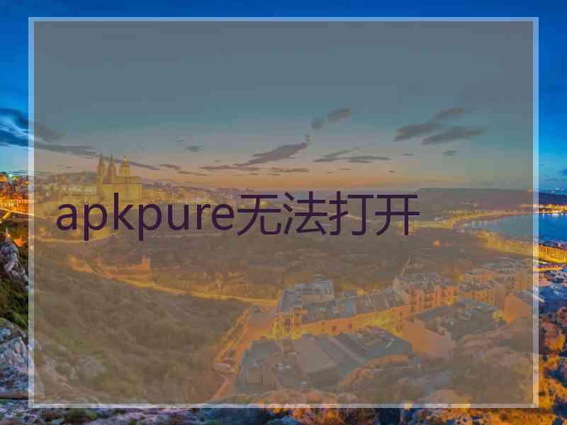 apkpure无法打开