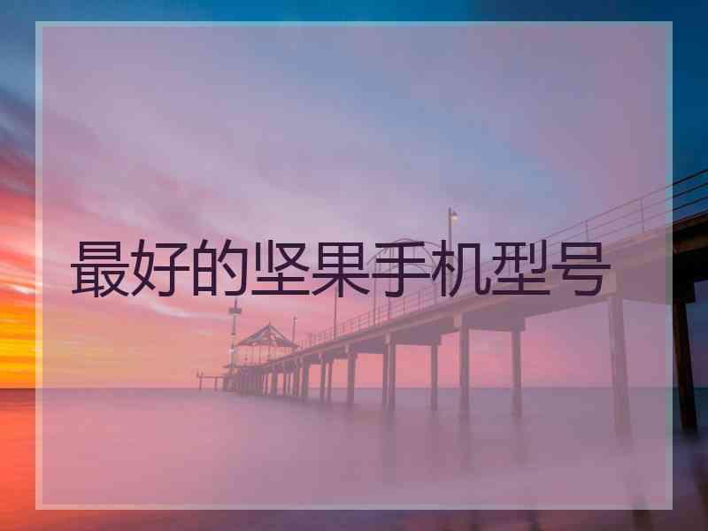 最好的坚果手机型号