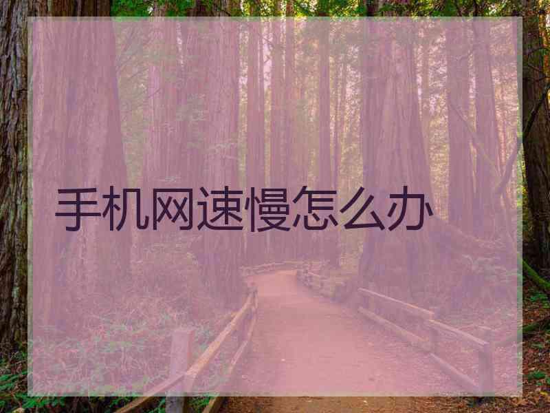 手机网速慢怎么办