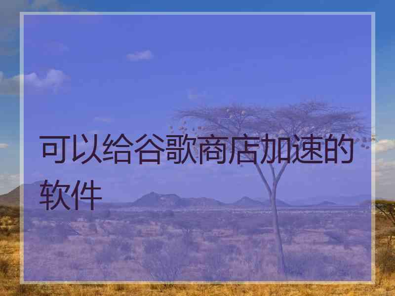 可以给谷歌商店加速的软件