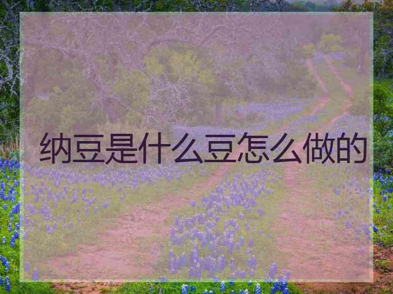 纳豆是什么豆怎么做的