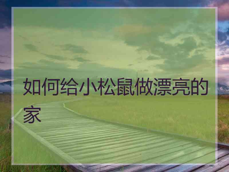 如何给小松鼠做漂亮的家